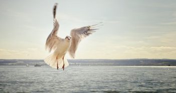 fototapety do łazienki